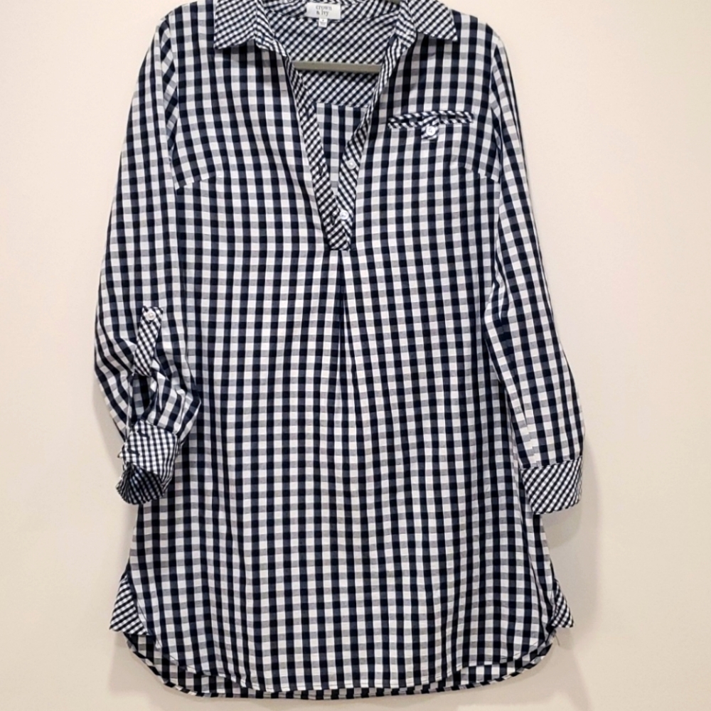 Crown & Ivy Blue Gingham Long Sleeve Dress Size:S